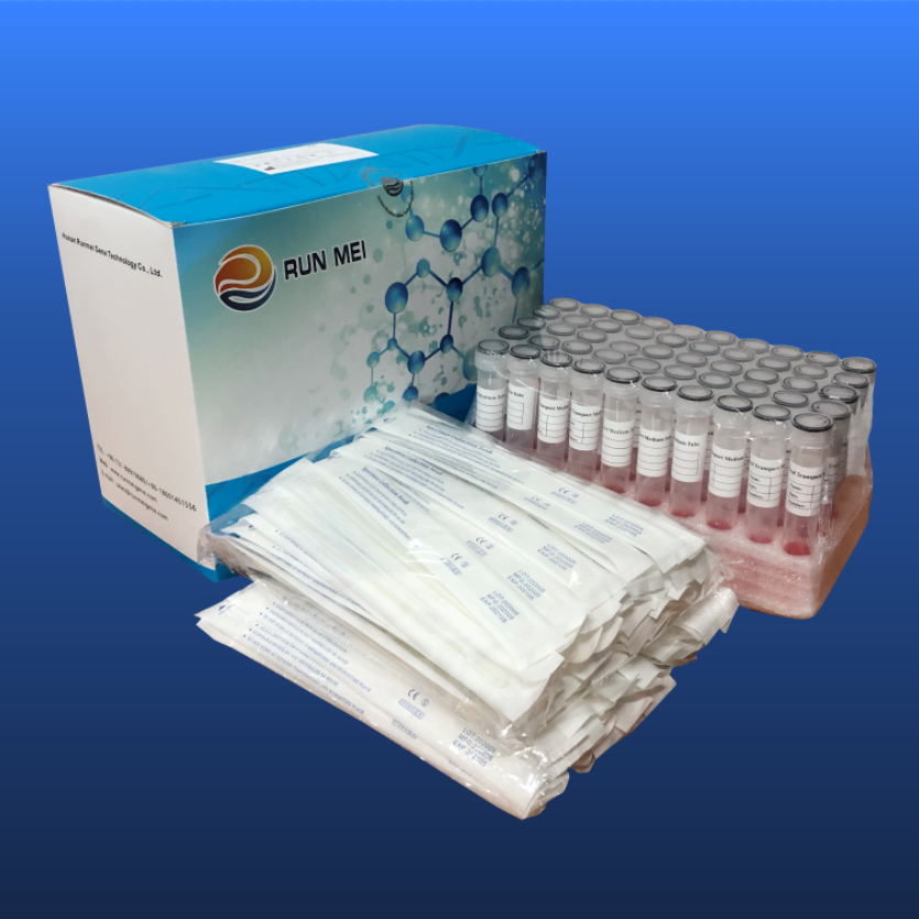Throat Swab & Nasal Swab + Medio activado para la colección de muestras