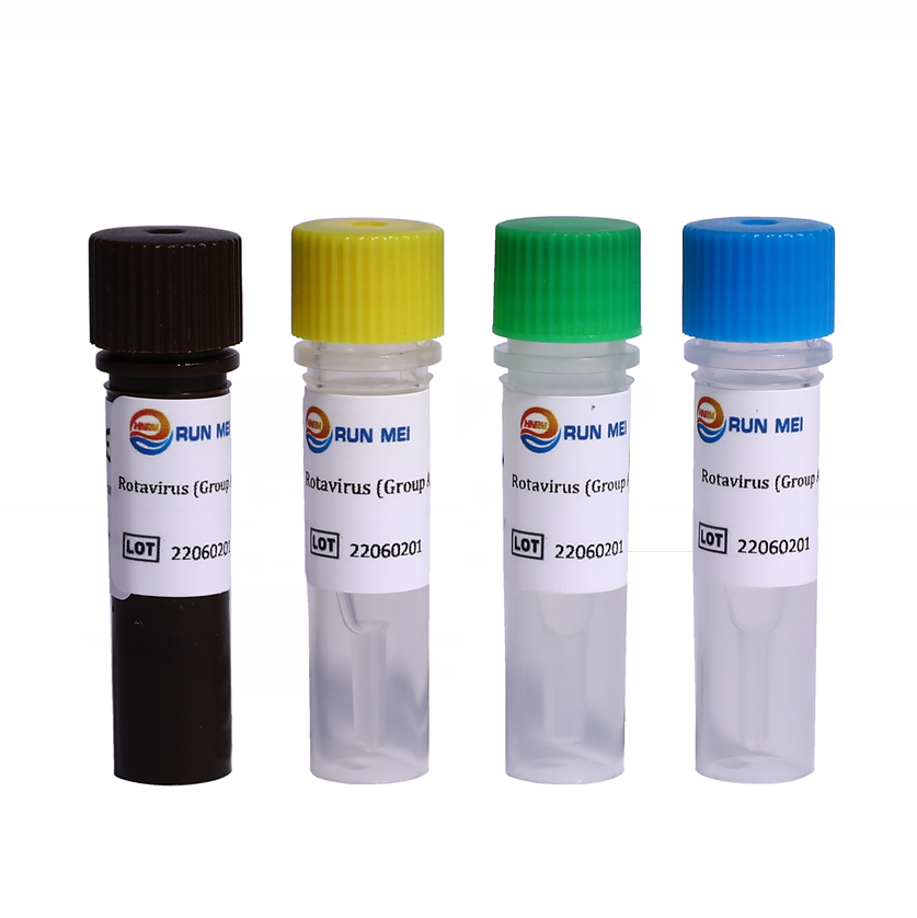 Kit de detección de PCR en tiempo real de Rotavirus Group A B C 